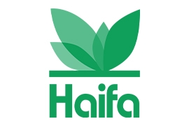 Haifa Italia