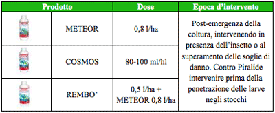 Meteor, Cosmos, Rembo'