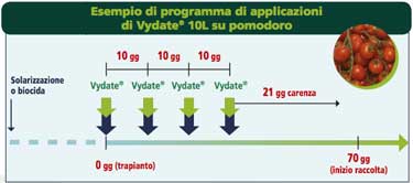 Vydate :: programma d'applicazione