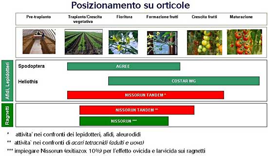 Posizionamento Nissorun Tandem su orticole 