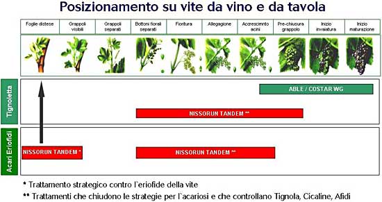 Posizionamento Nissorun Tandem su vite da vino e da tavola
