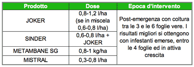 Joker - Sinder - Metambane - Mistral