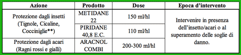 Insetticidi e acaricidi Chimiberg