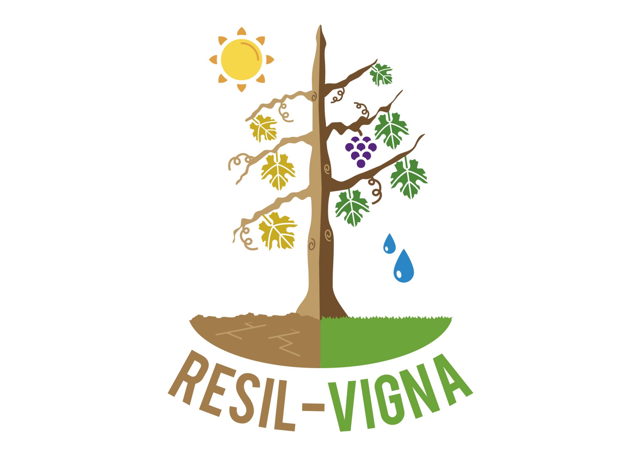 Resil-Vigna