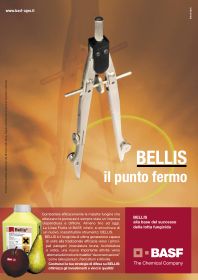 Scarica la brochure di Bellis