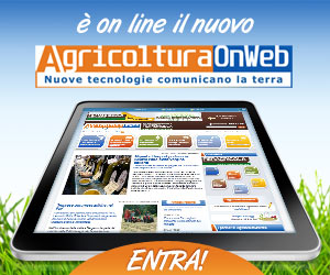 AgricolturaOnWeb - advertising e comunicazione - newsletter