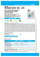 Pagina catalogo