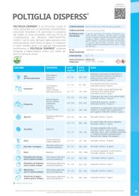 Pagina catalogo