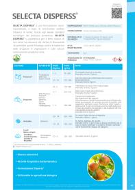 Pagina catalogo