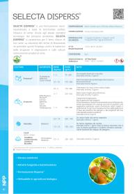 Pagina catalogo