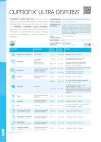 Pagina catalogo