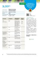 Pagina catalogo