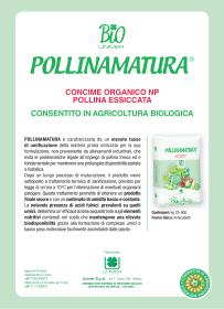 Pagina catalogo